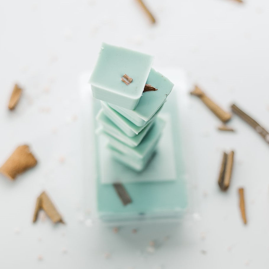 High Tide Soy Wax Melt