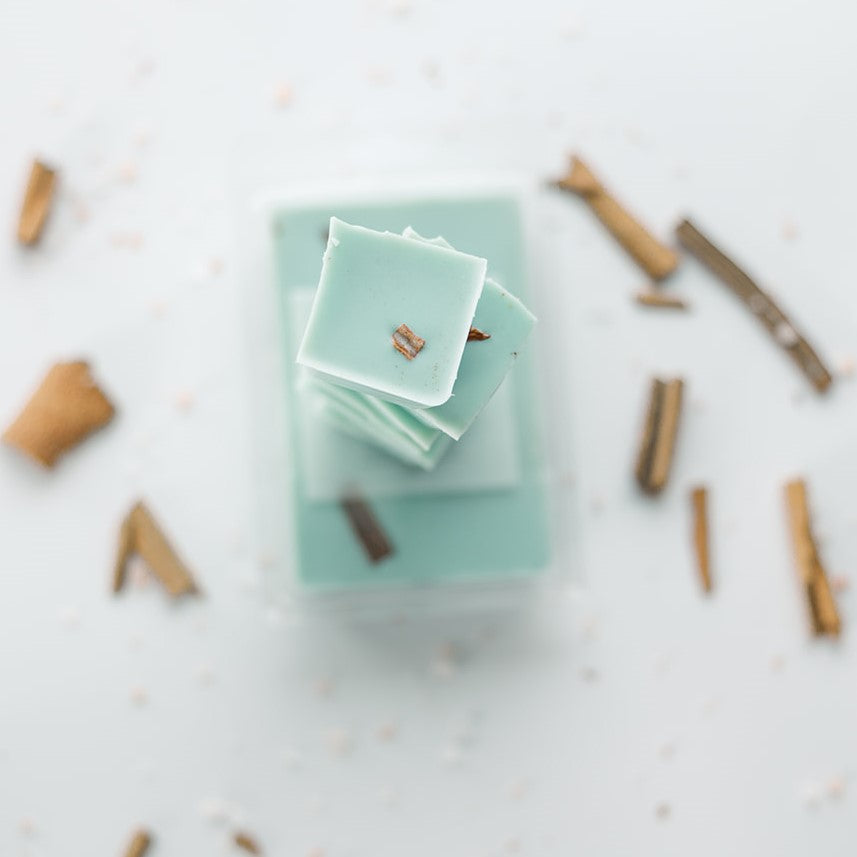 High Tide Soy Wax Melt