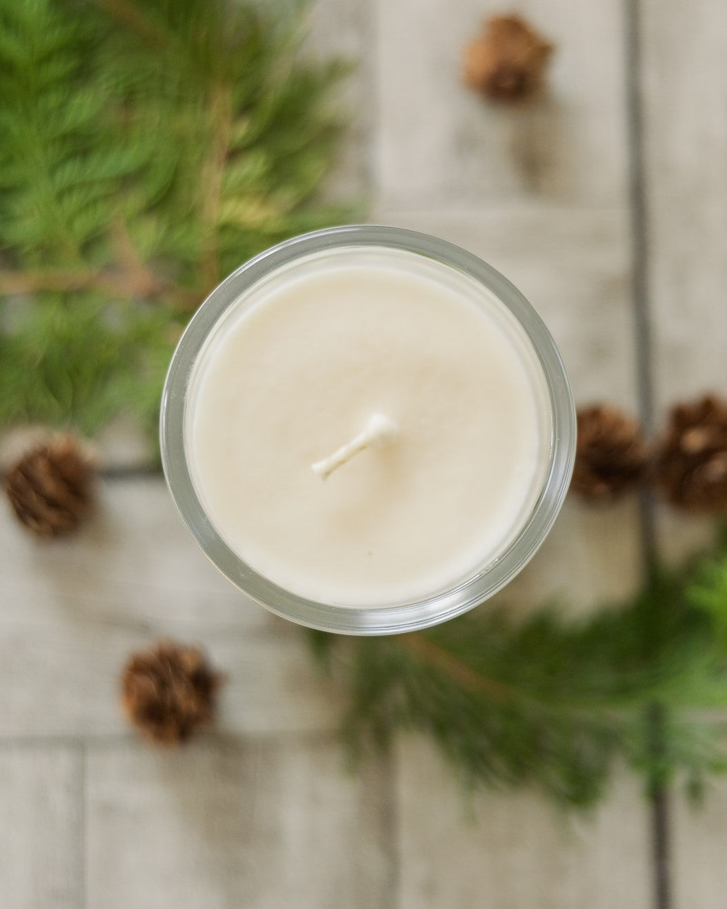 Pressed Christmas Fir Soy