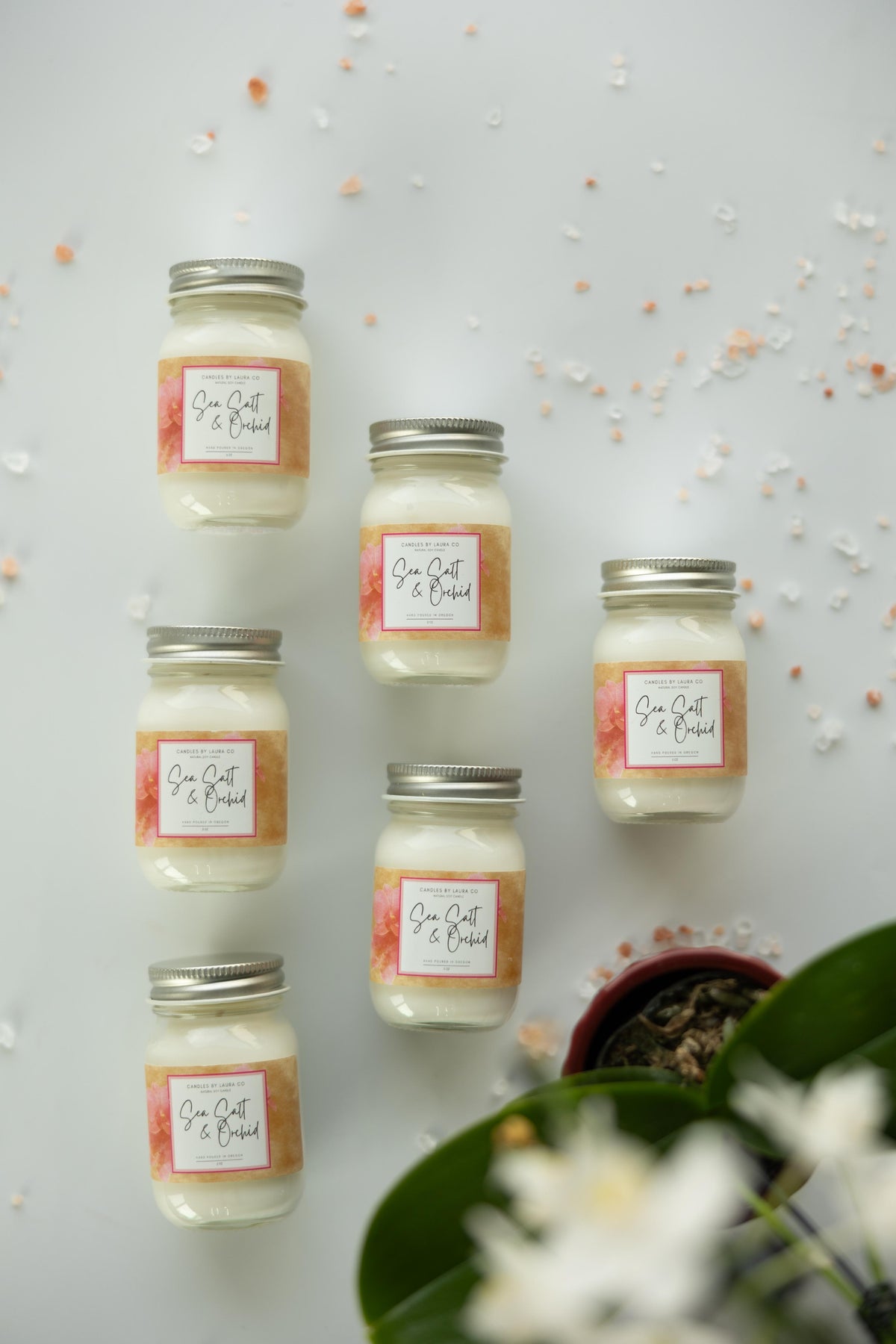 Sea Salt & Orchid 2 oz Mini Mason Candles – Set of 6