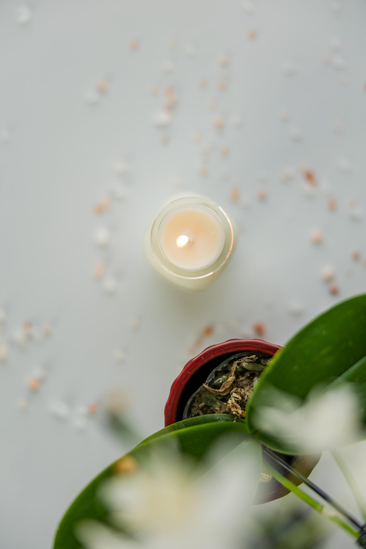 Sea Salt & Orchid 2 oz Mini Mason Candles – Set of 6